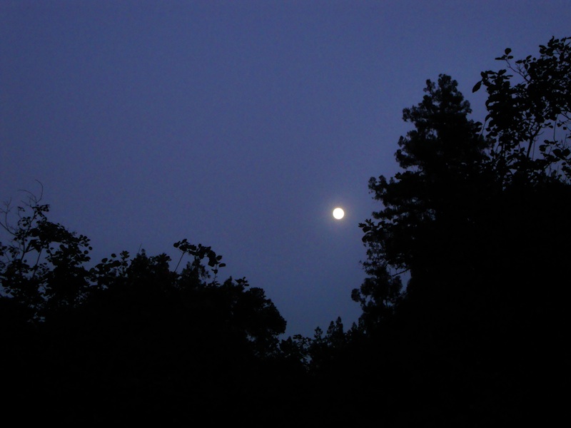 Zhongqiujie yueliang