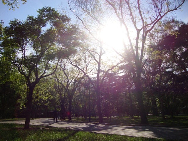 Ritan Park